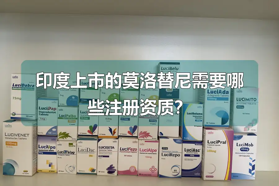 印度上市的莫洛替尼需要哪些注册资质？